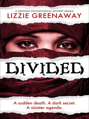 cover image of Divided
